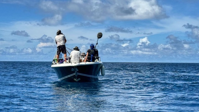 771b82f5-411b-47f8-b15a-d85e7936f605