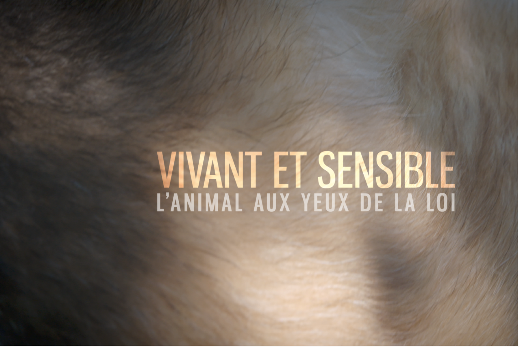 Capture d’écran 2024-08-24 à 10.11.56